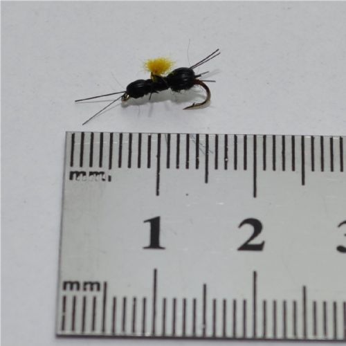 NY0392 - Black Beetle - Str.16<br>
