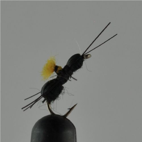 NY0392 - Black Beetle - Str.16<br>