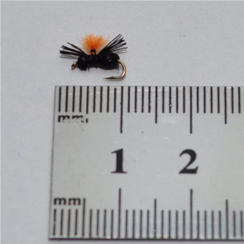 NY0393 - Black Beetle - Str.18<br>