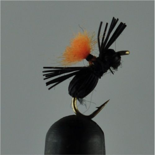 NY0393 - Black Beetle - Str.18<br>