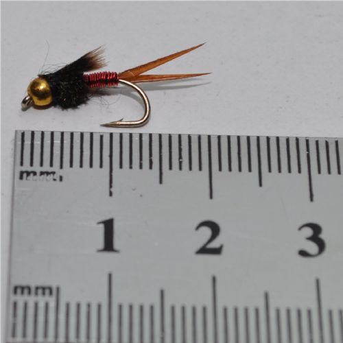 NY0421 - Copper John - Str.12<br>