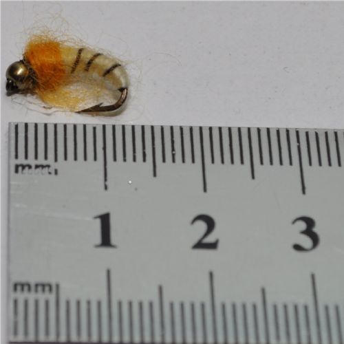 NY0441 - GH Sedge Puppa - Str.12<br>