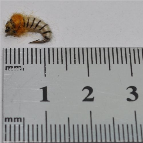 NY0442 - GH Sedge Puppa - Str.14<br>