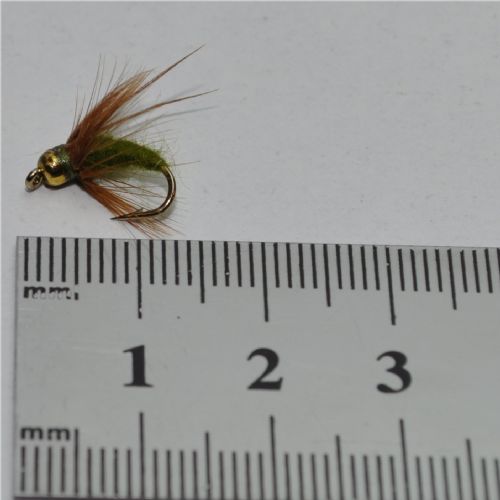 NY0443 - GH Sedge Puppa - Str.12<br>