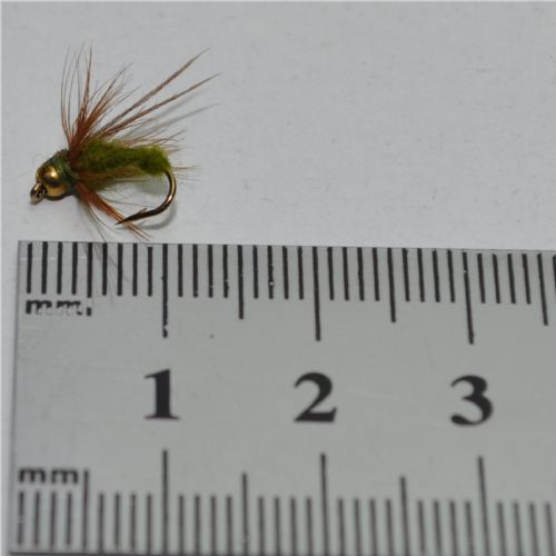 NY0444 - GH Sedge Puppa - Str.14<br>