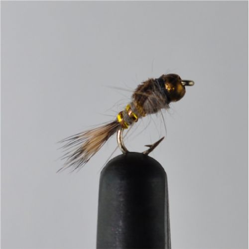 NY0451 - G.R.Hares ear - Str.16<br>