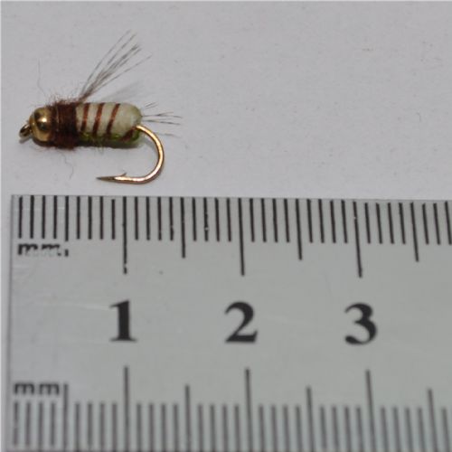 NY0452 - GH La Fontane Pupa Tan  - Str.12<br>