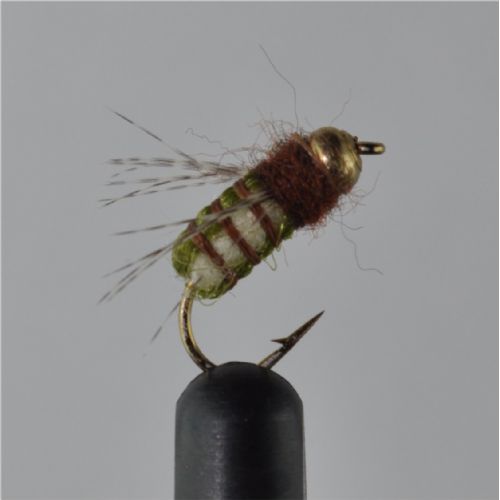 NY0452 - GH La Fontane Pupa Tan  - Str.12<br>