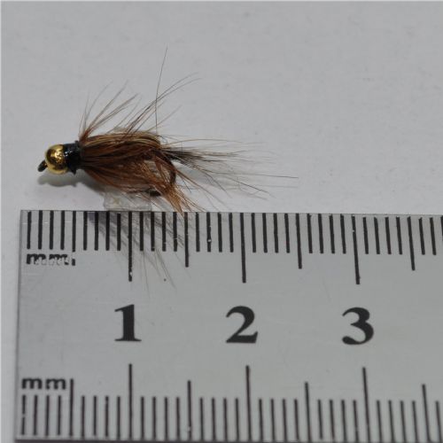 NY0454 - GH Freshwater - Str.14<br>