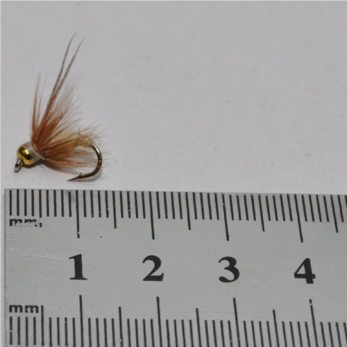 NY0461 - GH Caddis pupa - Str.12<br>
