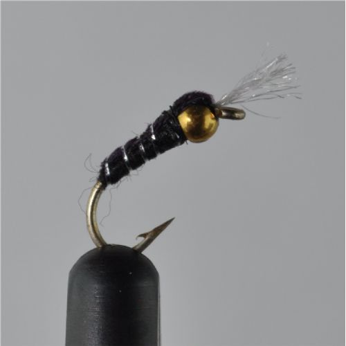 NY0463 - GH Black Buzzer - Str.12<br>
