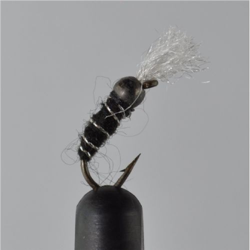 NY0464 - GH Black Buzzer - Str.14<br>