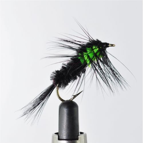 NY0723 - Montana Black/Flue Green - Str.8<br>