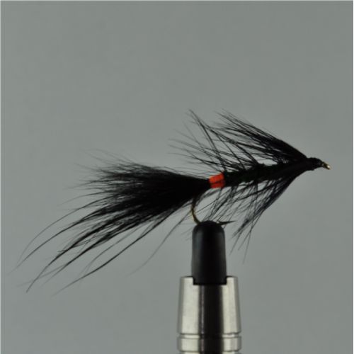 NY1322 - Kola killer - Str.6<br>