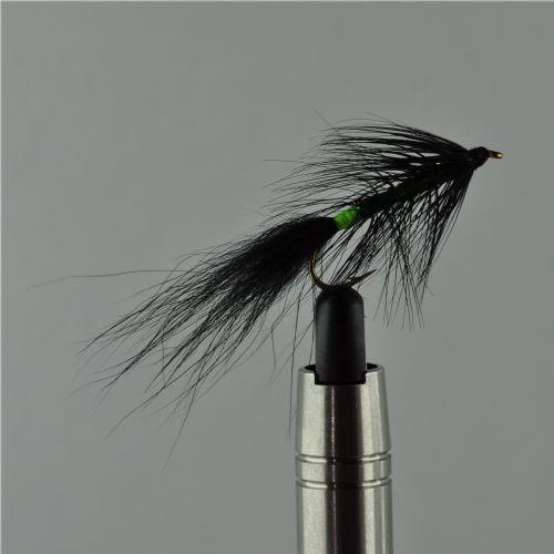 NY1323 - Kola killer - Str.8<br>