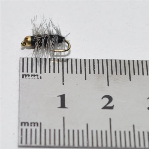 NY1341 - BH Giffins Gnat  - Str.14<br>