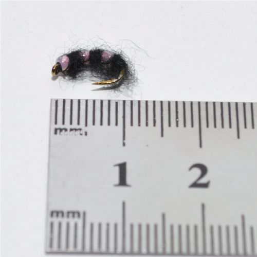 NY1344 - Black Pink Scud  - Str.14<br>