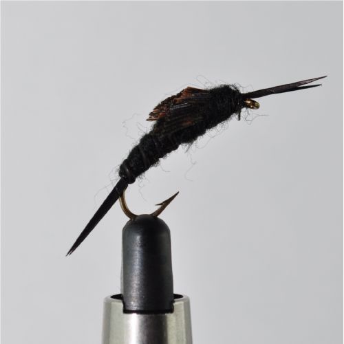 NY1352 - Kaufman Stonefly nymph - Str.10<br>