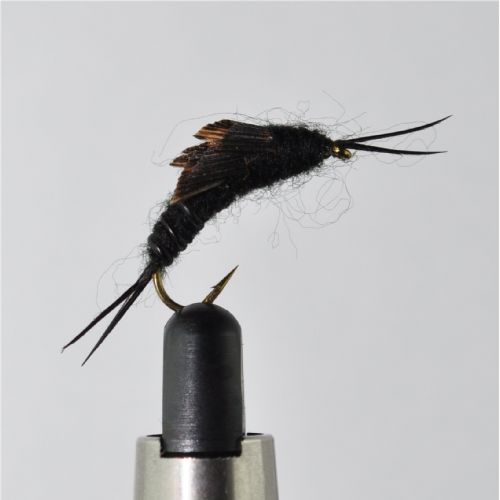 NY1353 - Kaufman Stonefly nymph - Str.12<br>