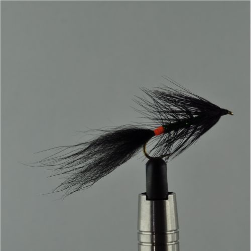 NY1361 - Kola killer - Str.8<br>