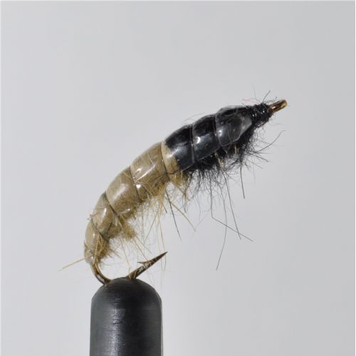 NY1362 - Caseless Caddis Ny  Tan - Str.12<br>