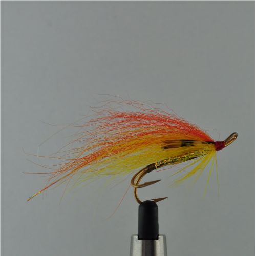 PAR0111 - GFR Gold Sheep AF j.c - Str.4<br>
