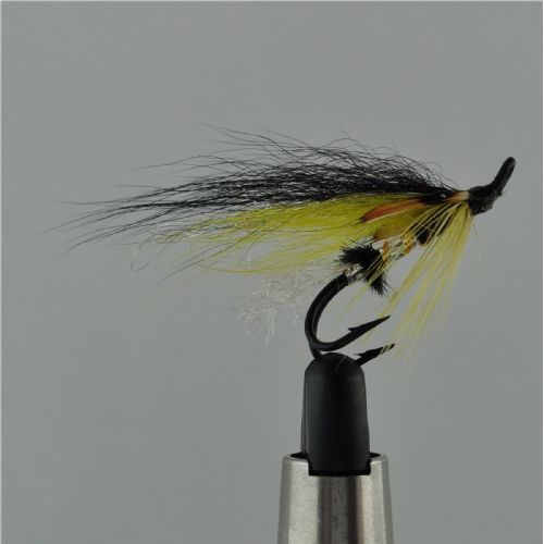 PAR0431 - Black-yellow-silver-body-j-c-Str.8<br>