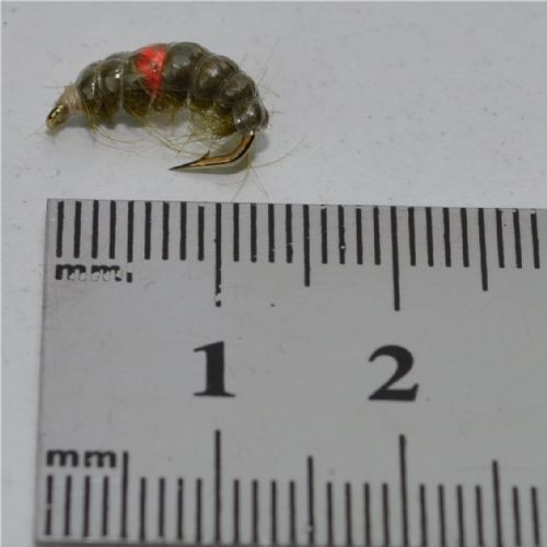 RIC0222 - Cz Hot Spot Shrimp - Str.12<br>