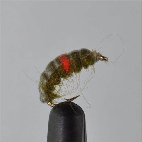 RIC0222 - Cz Hot Spot Shrimp - Str.12<br>