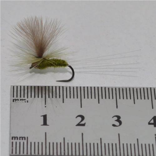 RIC0233 - Barbless Rhodani dun  - Str.12<br>