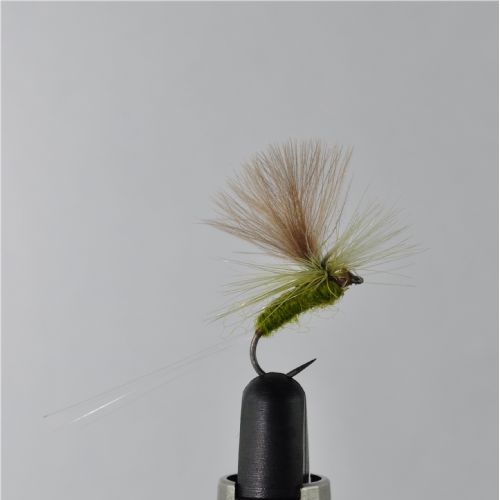 RIC0233 - Barbless Rhodani dun  - Str.12<br>