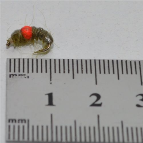 RIC0243 - Cz Hot Spot Shrimp - Str.14<br>