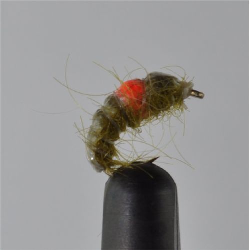 RIC0243 - Cz Hot Spot Shrimp - Str.14<br>