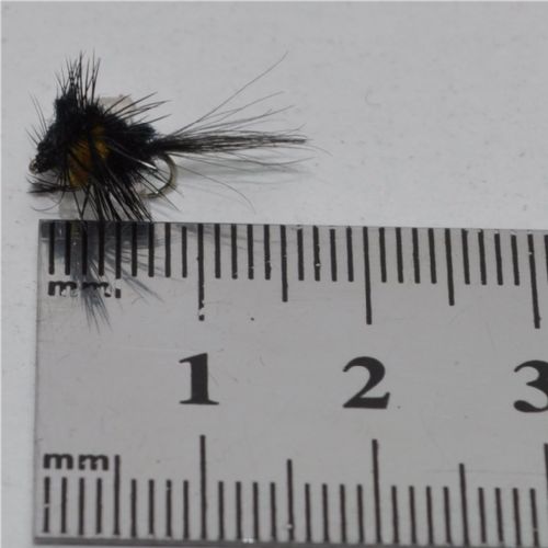 RIC0264 - Montana Black Yellow S S - Str.16<br>