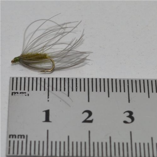 RIC0451 - CDC Baetis  - Str.14<br>