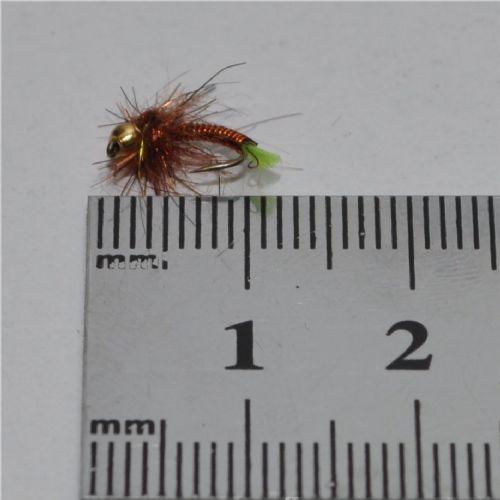 RIC0824 - Gh Alvdal Special - Str.16<br>