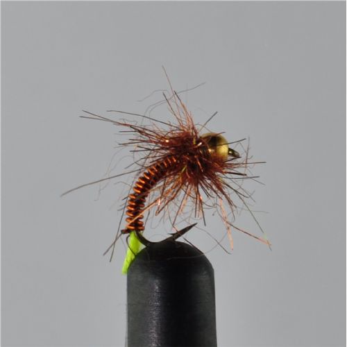 RIC0824 - Gh Alvdal Special - Str.16<br>