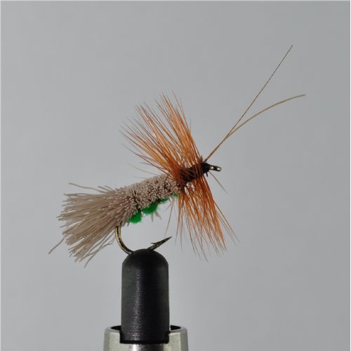 RIC0833 - G H Sedge Green  Under – Str.10<br>