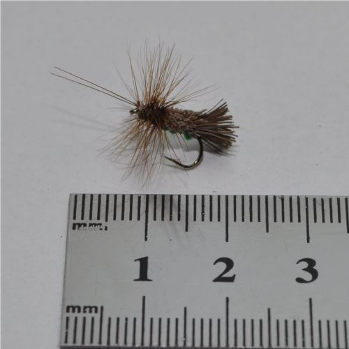 RIC0842 - G H Sedge Green Under - Str.12<br>
