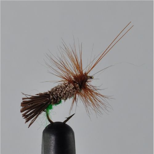 RIC0844 - G H Sedge Orange Under Copy - Str.14<br>