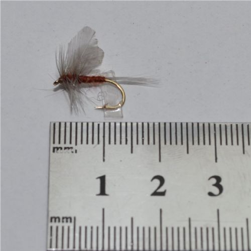 RIC0853 - Heptegenia  - Str.12<br>