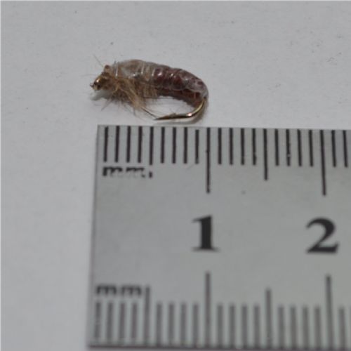 RIC0864 - Czeck Ny Hares Ear Rusty - Str.14<br>