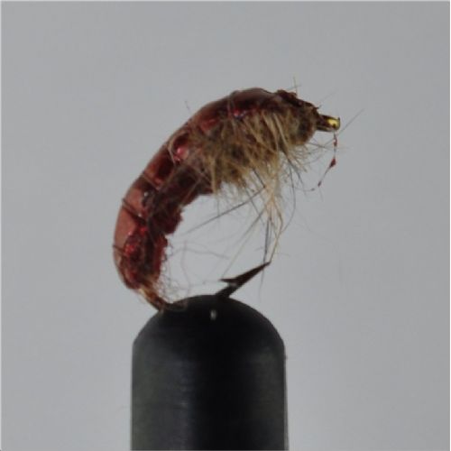 RIC0864 - Czeck Ny Hares Ear Rusty - Str.14<br>