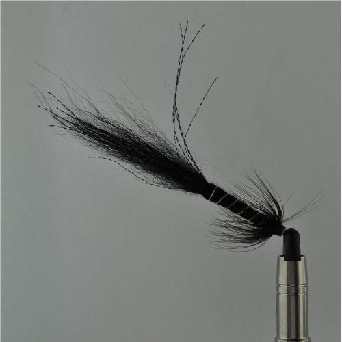 RIC1831 - Snælda  40mm<br>