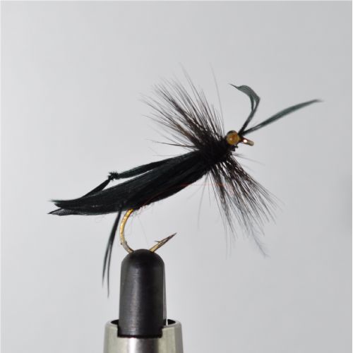 STR0134 - Graeshopper - Str.10<br>