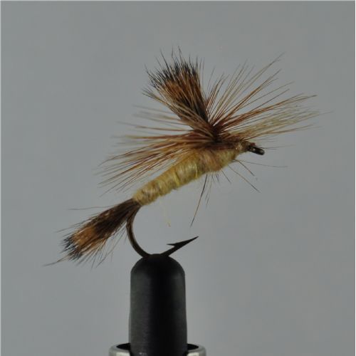 STR0141 - Danica Parashute Dun - Str.8<br>