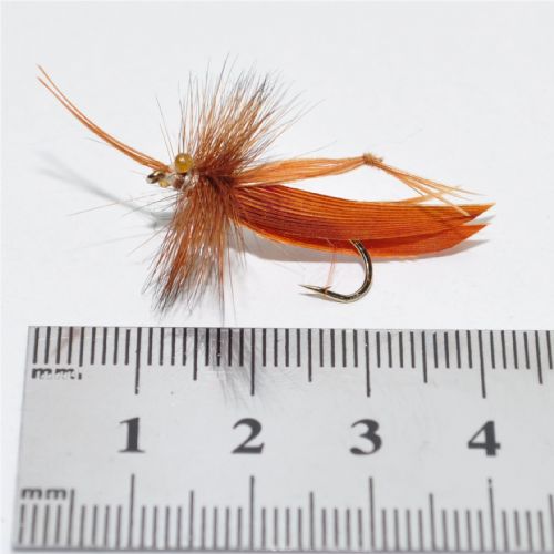 STR0153 - Graeshopper - Str.10<br>
