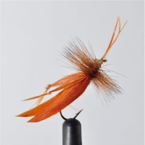 STR0153 - Graeshopper - Str.10<br>