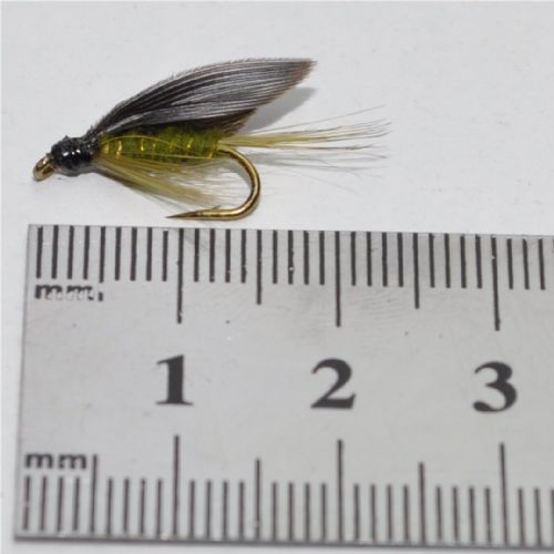 STR0163 - Olive Dun - Str.10<br>