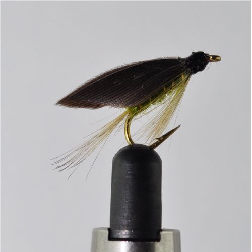 STR0163 - Olive Dun - Str.10<br>